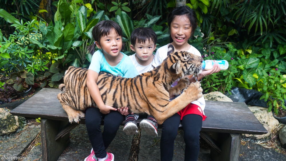 Safari World di Bangkok, destinasi wisata ramah anak di Thailand.